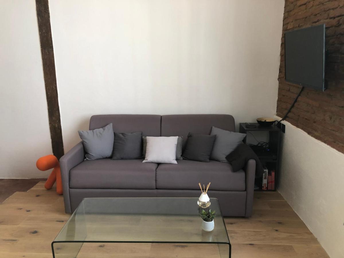 Charmant Studio De 20M2 En Hypercentre De Toulouse Kültér fotó